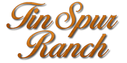 Tin Spur Ranch | Wedding & Special Event Center Venue for Victoria TX Tin Spur Ranch | Wedding & Special Event Center Venue for Victoria TX